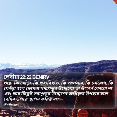 লেবীয়া 22:22 BENIRV Bible Verse Image