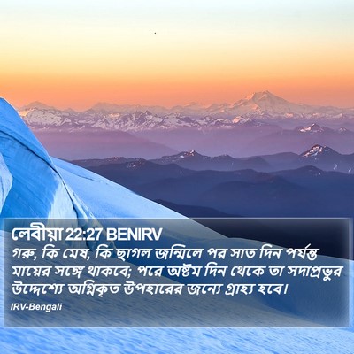 লেবীয়া 22:27 BENIRV Bible Verse Image