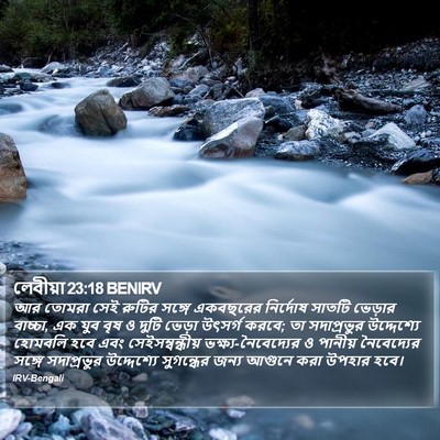 লেবীয়া 23:18 BENIRV Bible Verse Image