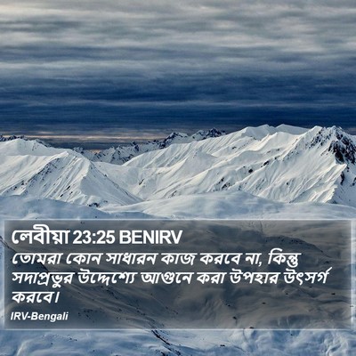 লেবীয়া 23:25 BENIRV Bible Verse Image