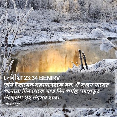 লেবীয়া 23:34 BENIRV Bible Verse Image
