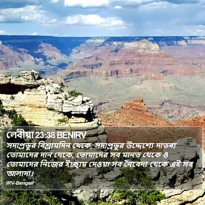 লেবীয়া 23:38 BENIRV Bible Verse Image