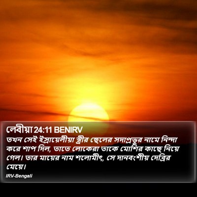 লেবীয়া 24:11 BENIRV Bible Verse Image