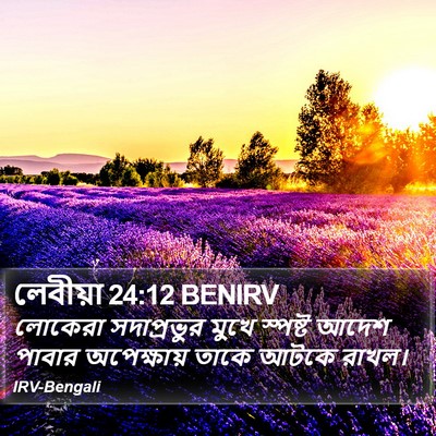 লেবীয়া 24:12 BENIRV Bible Verse Image