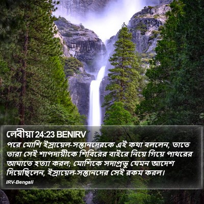 লেবীয়া 24:23 BENIRV Bible Verse Image
