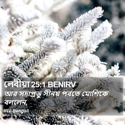 লেবীয়া 25:1 BENIRV Bible Verse Image