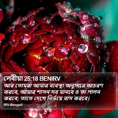 লেবীয়া 25:18 BENIRV Bible Verse Image