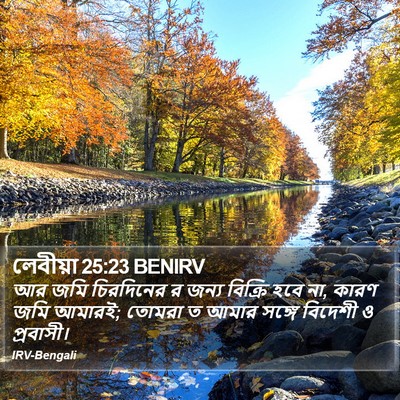 লেবীয়া 25:23 BENIRV Bible Verse Image
