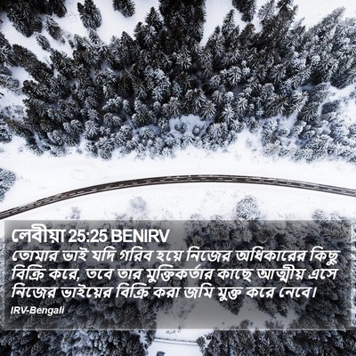 লেবীয়া 25:25 BENIRV Bible Verse Image