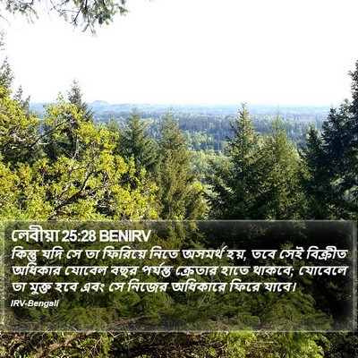 লেবীয়া 25:28 BENIRV Bible Verse Image