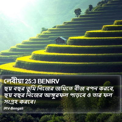 লেবীয়া 25:3 BENIRV Bible Verse Image