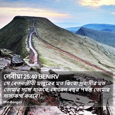 লেবীয়া 25:40 BENIRV Bible Verse Image