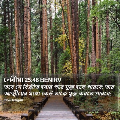 লেবীয়া 25:48 BENIRV Bible Verse Image