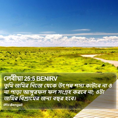 লেবীয়া 25:5 BENIRV Bible Verse Image