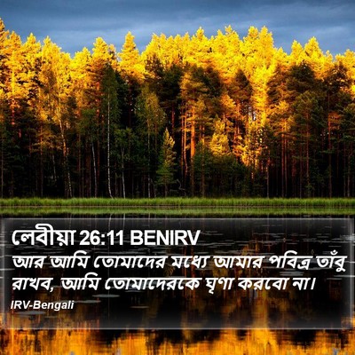 লেবীয়া 26:11 BENIRV Bible Verse Image