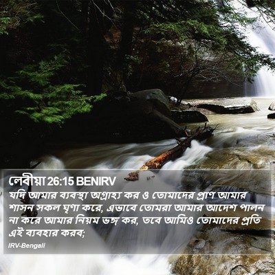 লেবীয়া 26:15 BENIRV Bible Verse Image