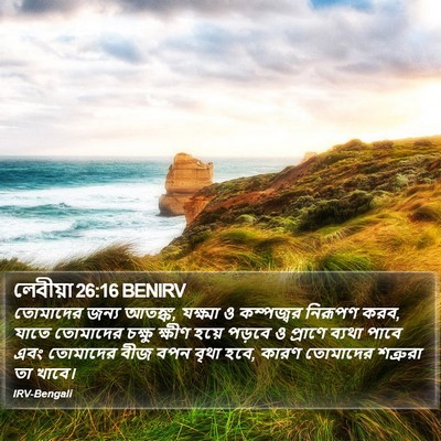 লেবীয়া 26:16 BENIRV Bible Verse Image