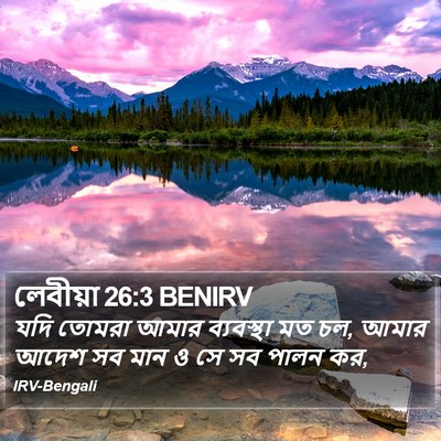 লেবীয়া 26:3 BENIRV Bible Verse Image