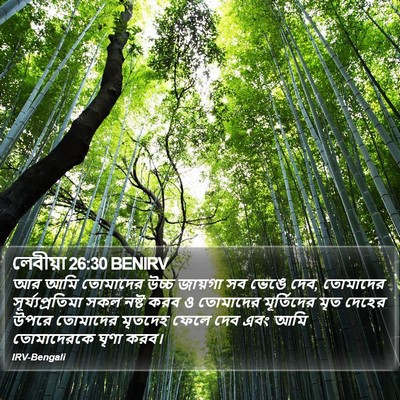 লেবীয়া 26:30 BENIRV Bible Verse Image