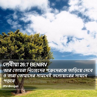 লেবীয়া 26:7 BENIRV Bible Verse Image