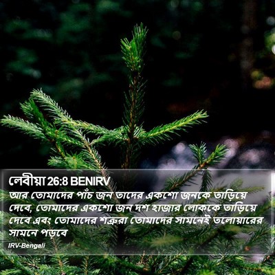 লেবীয়া 26:8 BENIRV Bible Verse Image