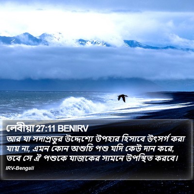 লেবীয়া 27:11 BENIRV Bible Verse Image