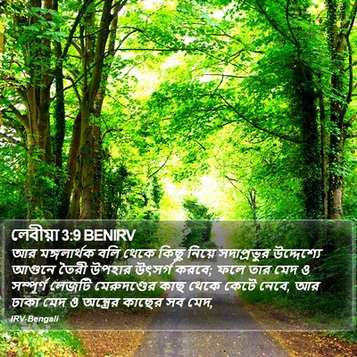 লেবীয়া 3:9 BENIRV Bible Verse Image