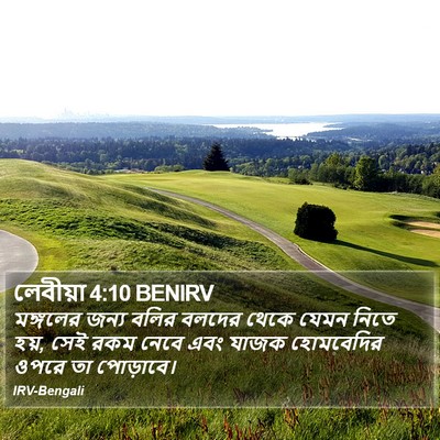 লেবীয়া 4:10 BENIRV Bible Verse Image