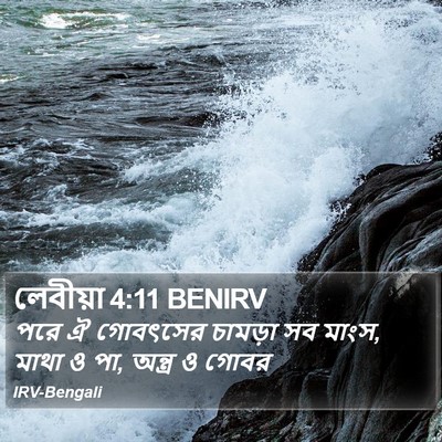 লেবীয়া 4:11 BENIRV Bible Verse Image