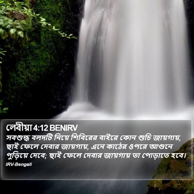 লেবীয়া 4:12 BENIRV Bible Verse Image