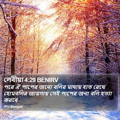 লেবীয়া 4:29 BENIRV Bible Verse Image