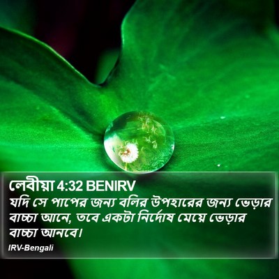 লেবীয়া 4:32 BENIRV Bible Verse Image