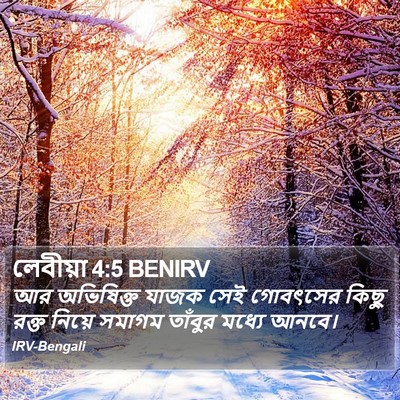 লেবীয়া 4:5 BENIRV Bible Verse Image