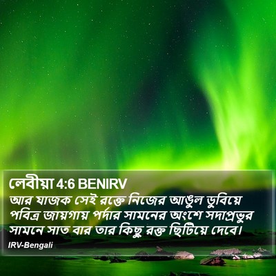 লেবীয়া 4:6 BENIRV Bible Verse Image