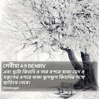 লেবীয়া 4:9 BENIRV Bible Verse Image