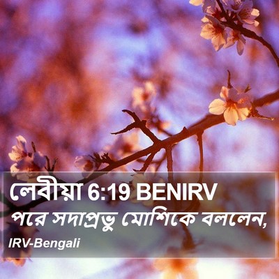 লেবীয়া 6:19 BENIRV Bible Verse Image