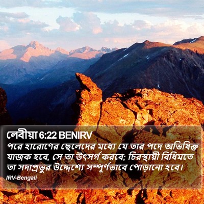 লেবীয়া 6:22 BENIRV Bible Verse Image