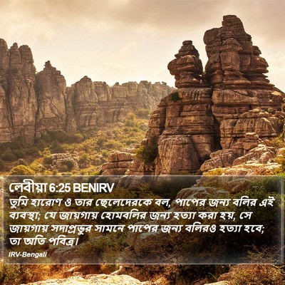 লেবীয়া 6:25 BENIRV Bible Verse Image