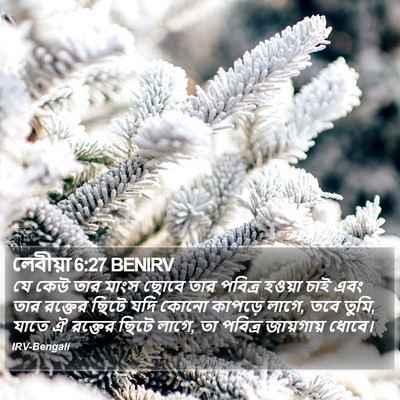 লেবীয়া 6:27 BENIRV Bible Verse Image