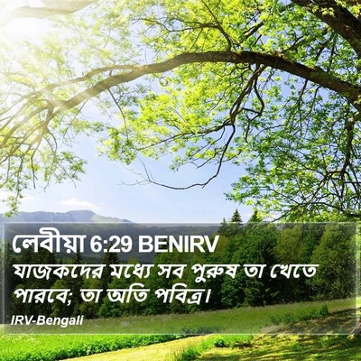 লেবীয়া 6:29 BENIRV Bible Verse Image