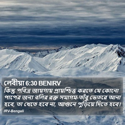 লেবীয়া 6:30 BENIRV Bible Verse Image