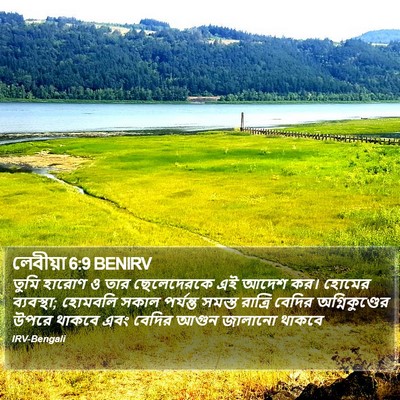 লেবীয়া 6:9 BENIRV Bible Verse Image