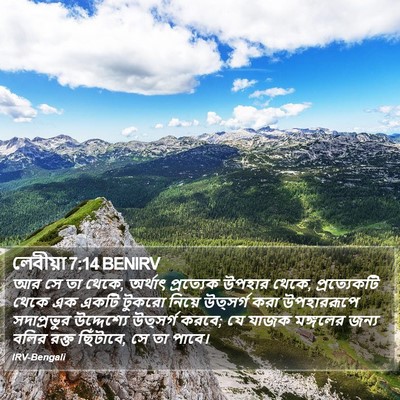 লেবীয়া 7:14 BENIRV Bible Verse Image