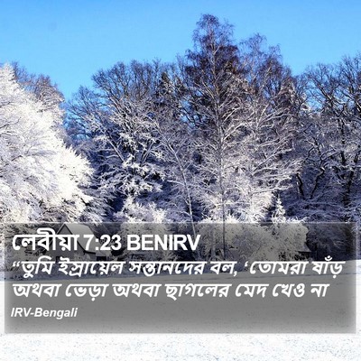 লেবীয়া 7:23 BENIRV Bible Verse Image