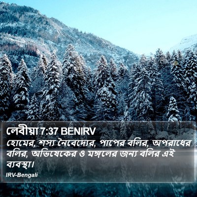 লেবীয়া 7:37 BENIRV Bible Verse Image