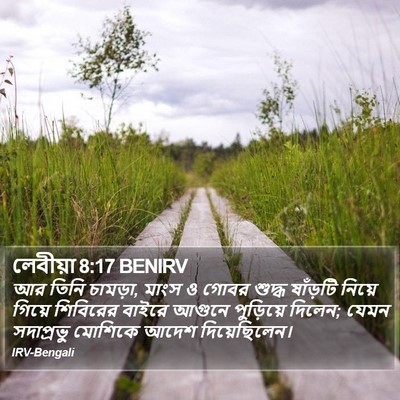 লেবীয়া 8:17 BENIRV Bible Verse Image