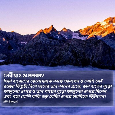 লেবীয়া 8:24 BENIRV Bible Verse Image