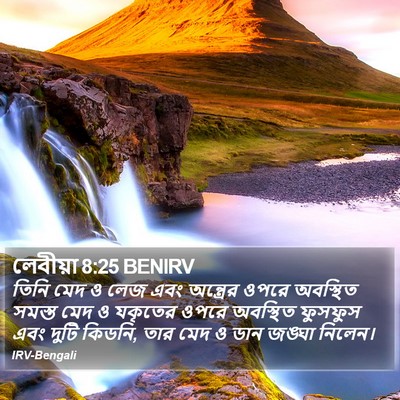 লেবীয়া 8:25 BENIRV Bible Verse Image