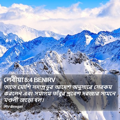 লেবীয়া 8:4 BENIRV Bible Verse Image