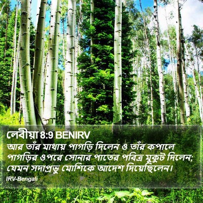 লেবীয়া 8:9 BENIRV Bible Verse Image